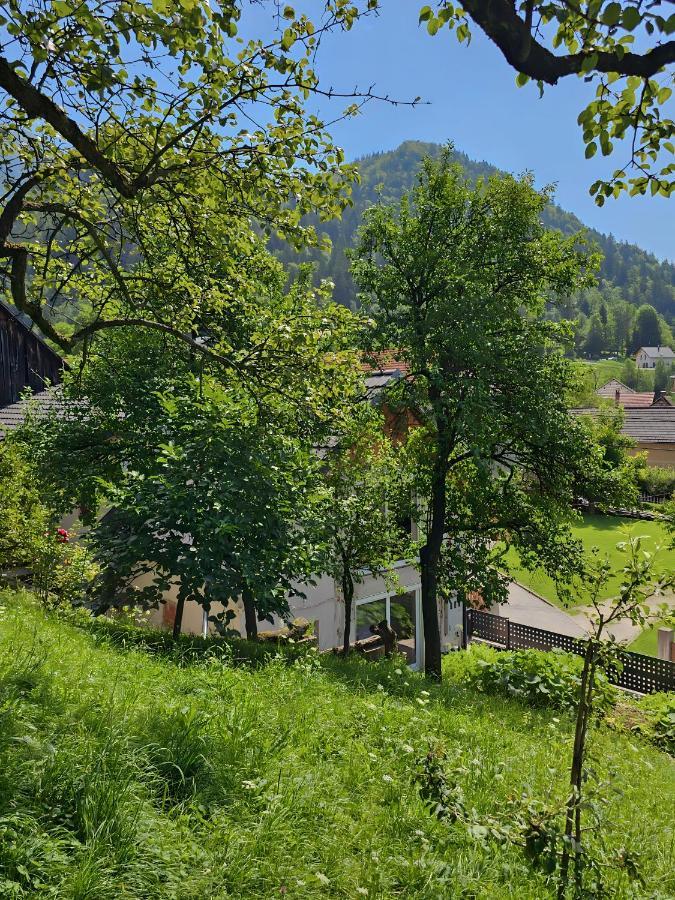 Апартаменты Charming Bella Hideout - Adults Only Есенице Экстерьер фото